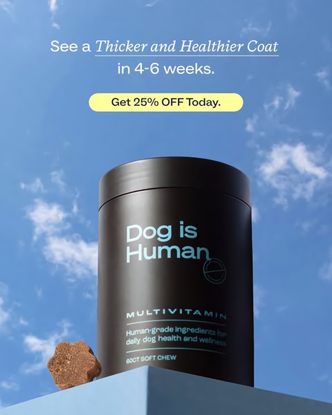 A clean, minimalist product shot of a dog multivitamin container against a bright blue sky, highlighting a specific 4-6 week health benefit.